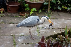 I'll have this one. ©Jane Powers