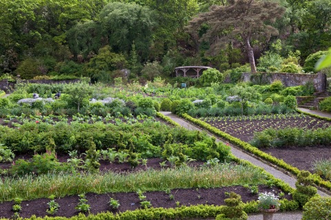 The Kitchen Garden at Glenveagh Castle © Jonathan Hession