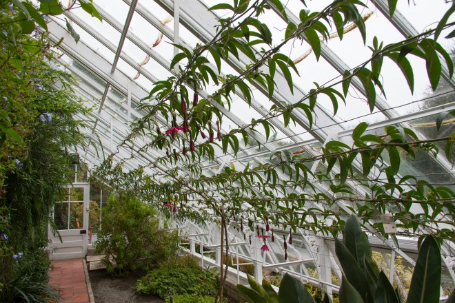 The Peach House at Malahide Castle © Jonathan Hession